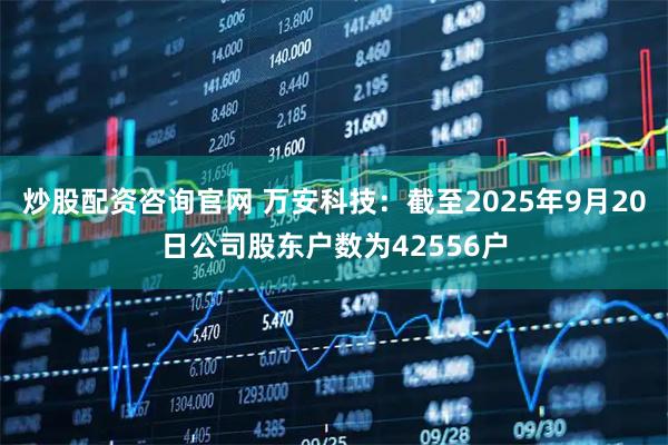 炒股配资咨询官网 万安科技：截至2025年9月20日公司股东户数为42556户
