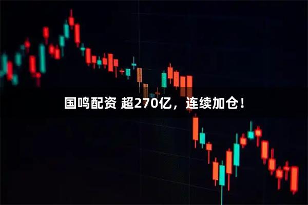 国鸣配资 超270亿，连续加仓！