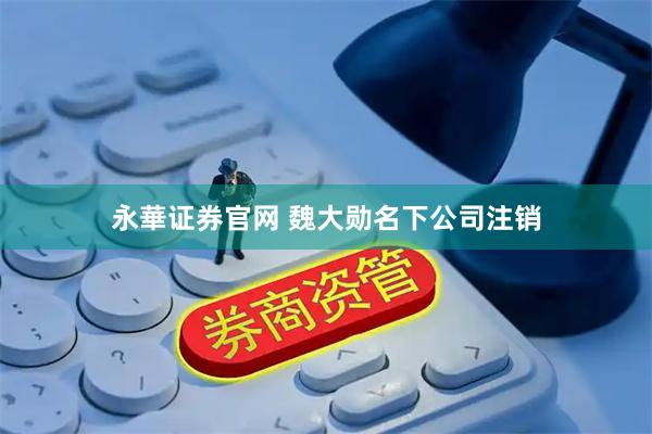 永華证券官网 魏大勋名下公司注销