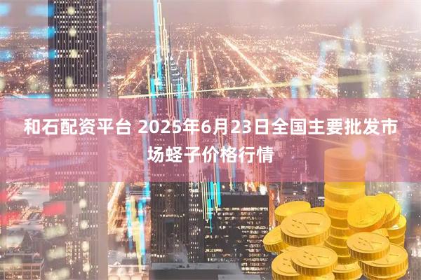 和石配资平台 2025年6月23日全国主要批发市场蛏子价格行情