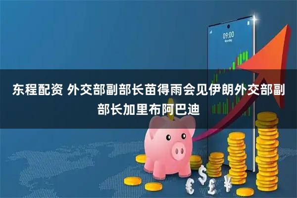 东程配资 外交部副部长苗得雨会见伊朗外交部副部长加里布阿巴迪