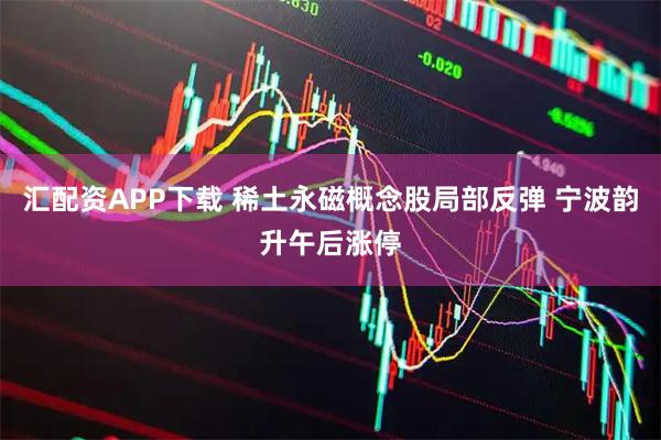 汇配资APP下载 稀土永磁概念股局部反弹 宁波韵升午后涨停